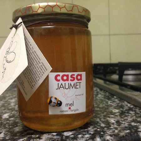 Casa Jaumet: Un Lloc De Pau On Escoltar El Silenci Appartement Aramunt Buitenkant foto